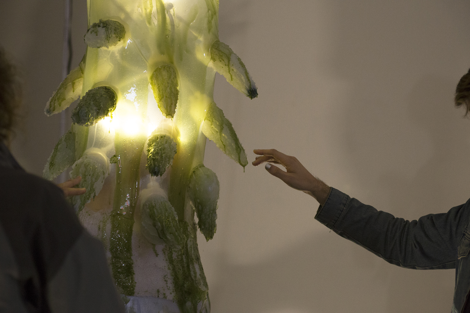 Detail of a gelatenous form covered in green slime with a mans hand reaching for it it